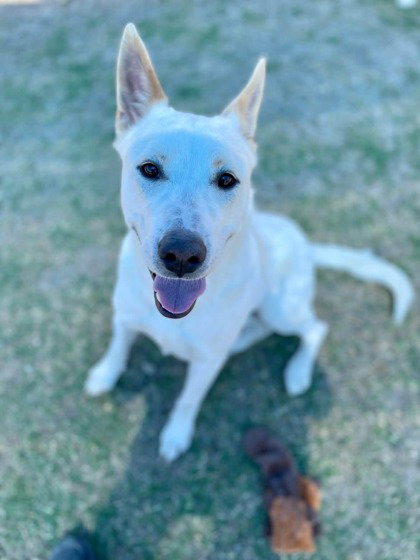 Milo