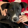 Jettie - Photo 4