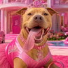 Barbie - Photo 1