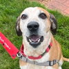 Walter - Photo 2