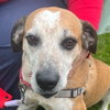Walter - Photo 3