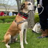 Walter - Photo 4