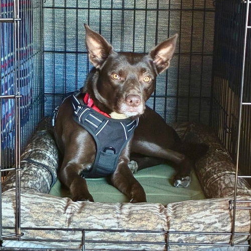 Photo 2 of Loki