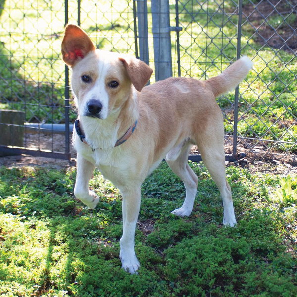 Murray