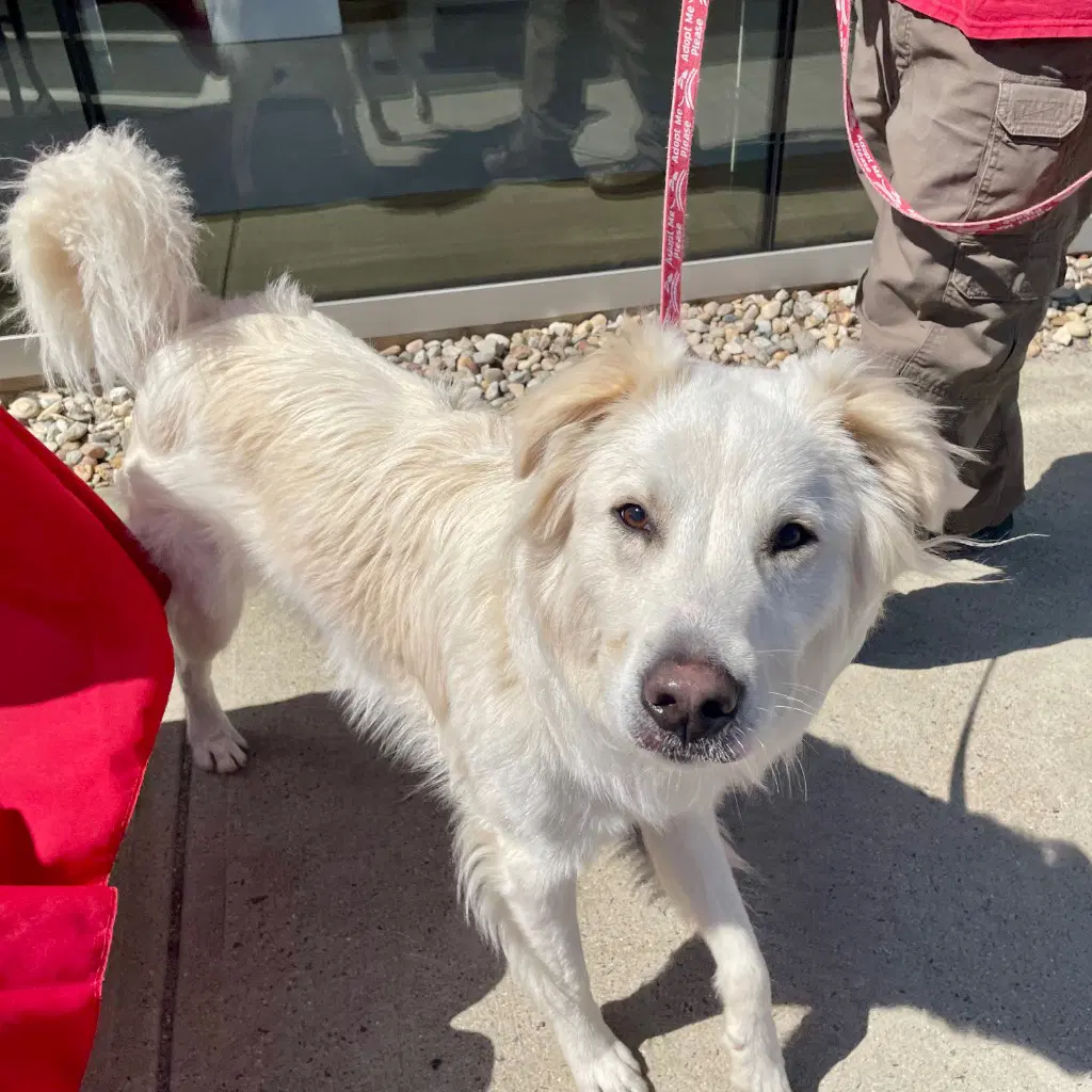 Riley image 2