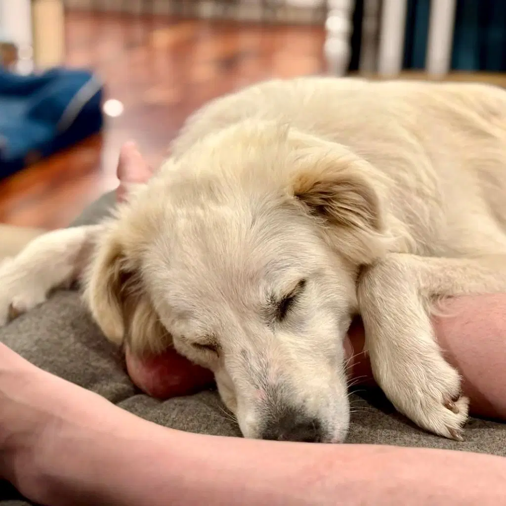 Riley image 3