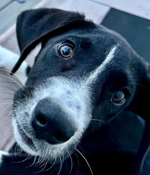 Zeus photo 3