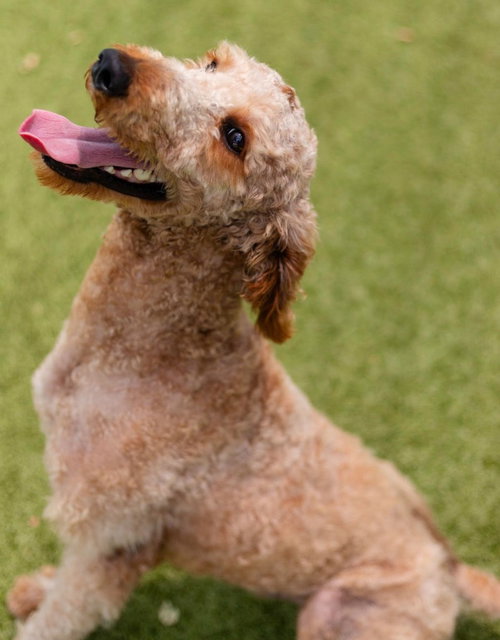 Mozzie photo 2