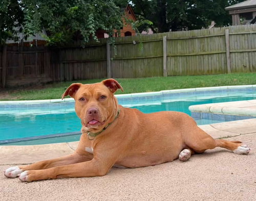 Nellie photo 4