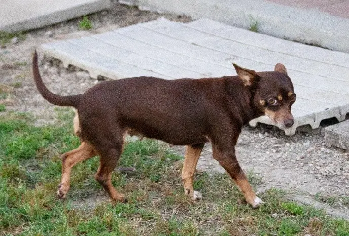 Juanita image 3