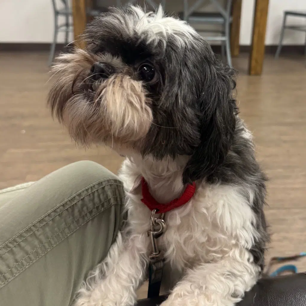 Max image 2