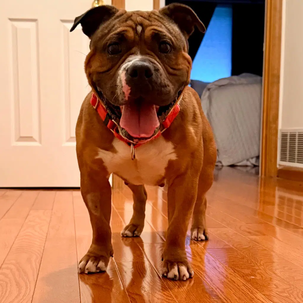 Winnie image 2