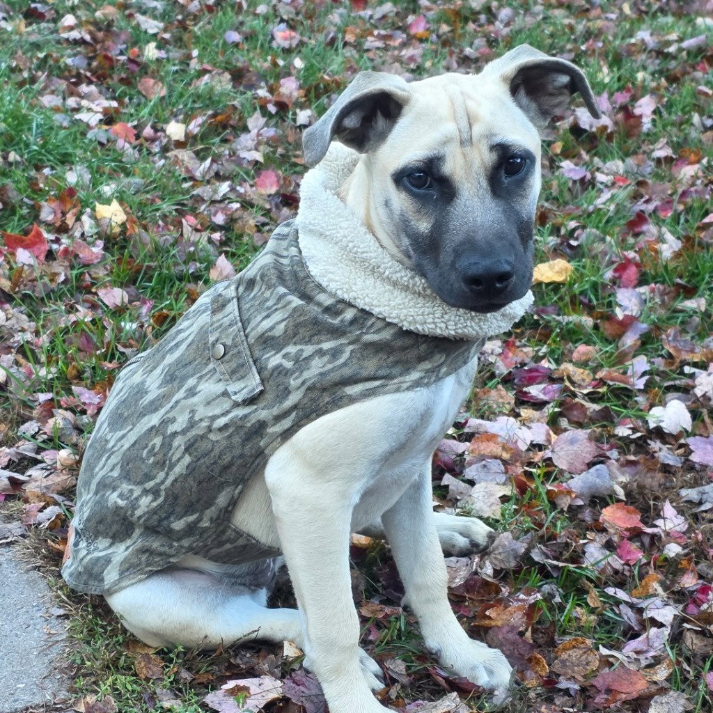 Maggie, photo 2