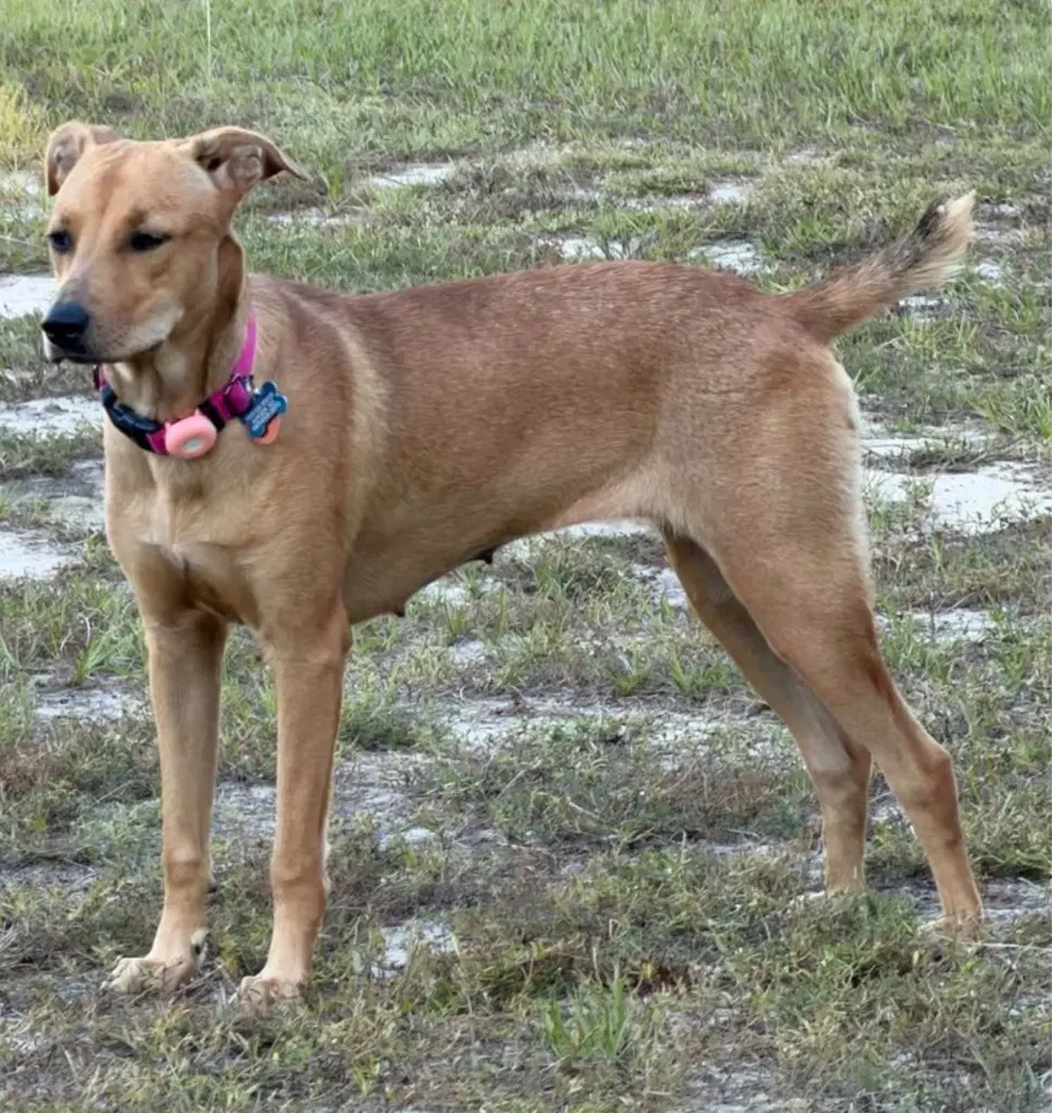 Max image 3