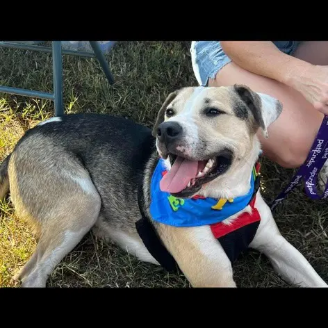 Max image 2
