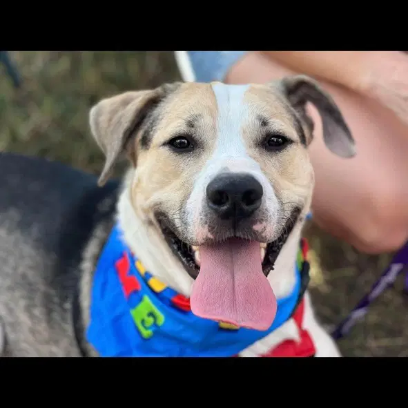 Max image 3