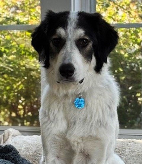 Photo of Sophie