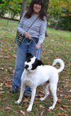 Balto - Photo 4