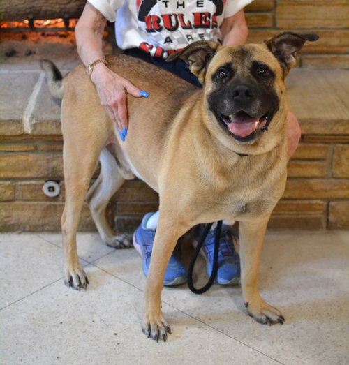 Reggie photo 3