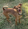 Cheech - Photo 2
