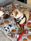 Hutch Boy - Photo 3