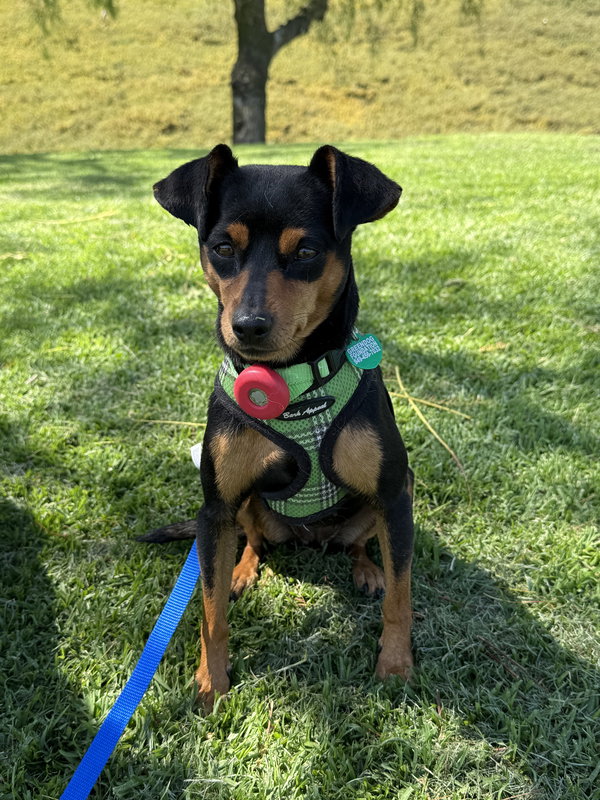 Phoebe aka Twixx
