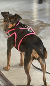 Phoebe aka Twixx - Photo 2
