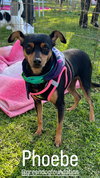 Phoebe aka Twixx - Photo 1