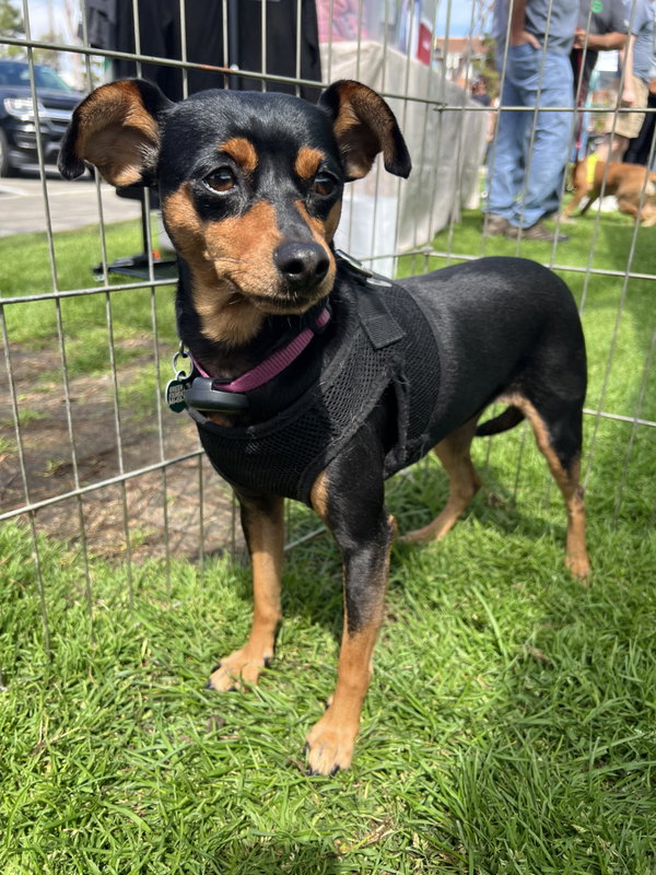 Phoebe aka Twixx