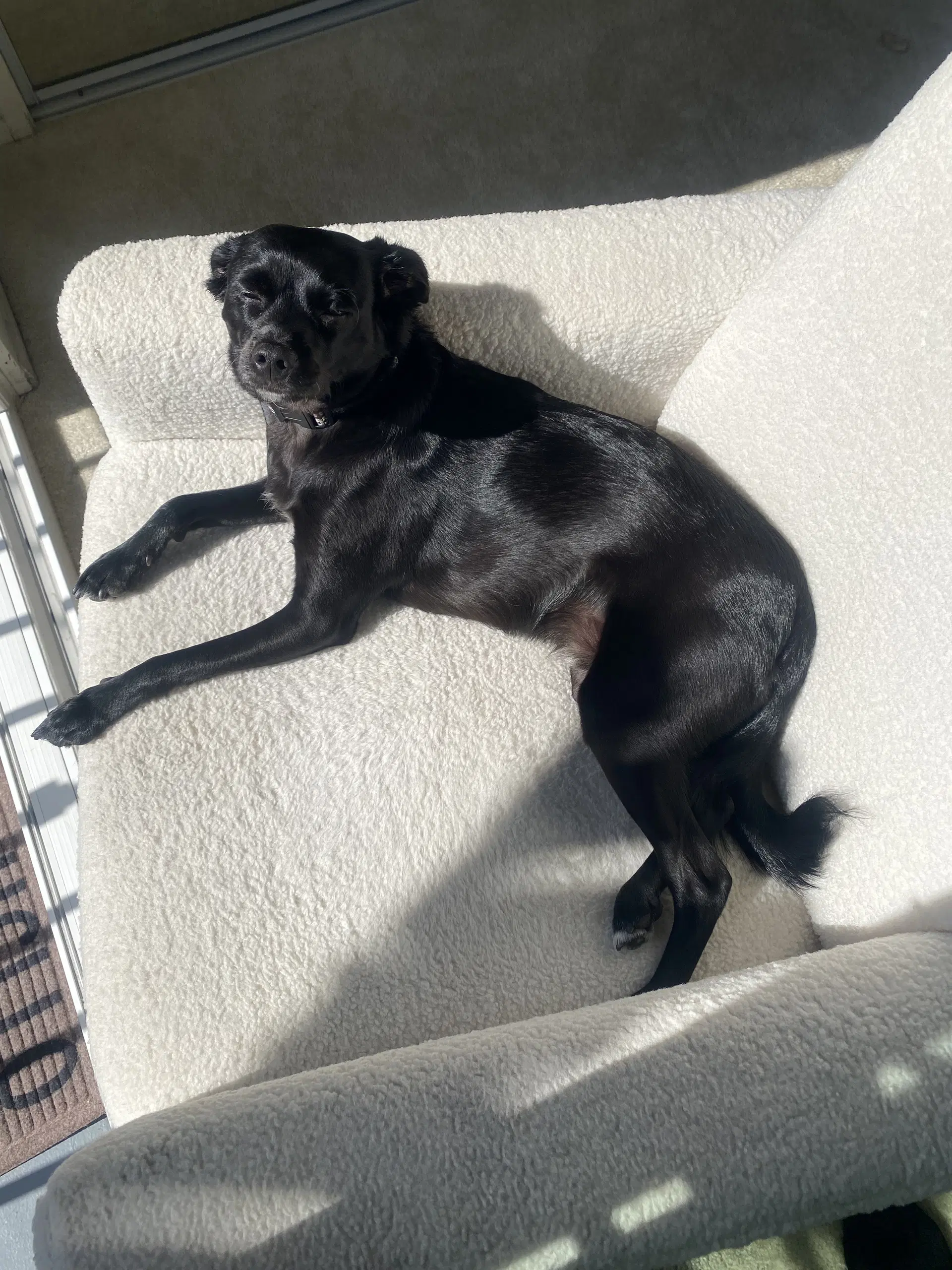 Baxter image 2