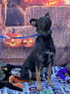 Rocky 2 - Photo 3