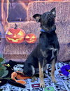 Rocky 2 - Photo 6