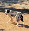 Joel - Photo 1