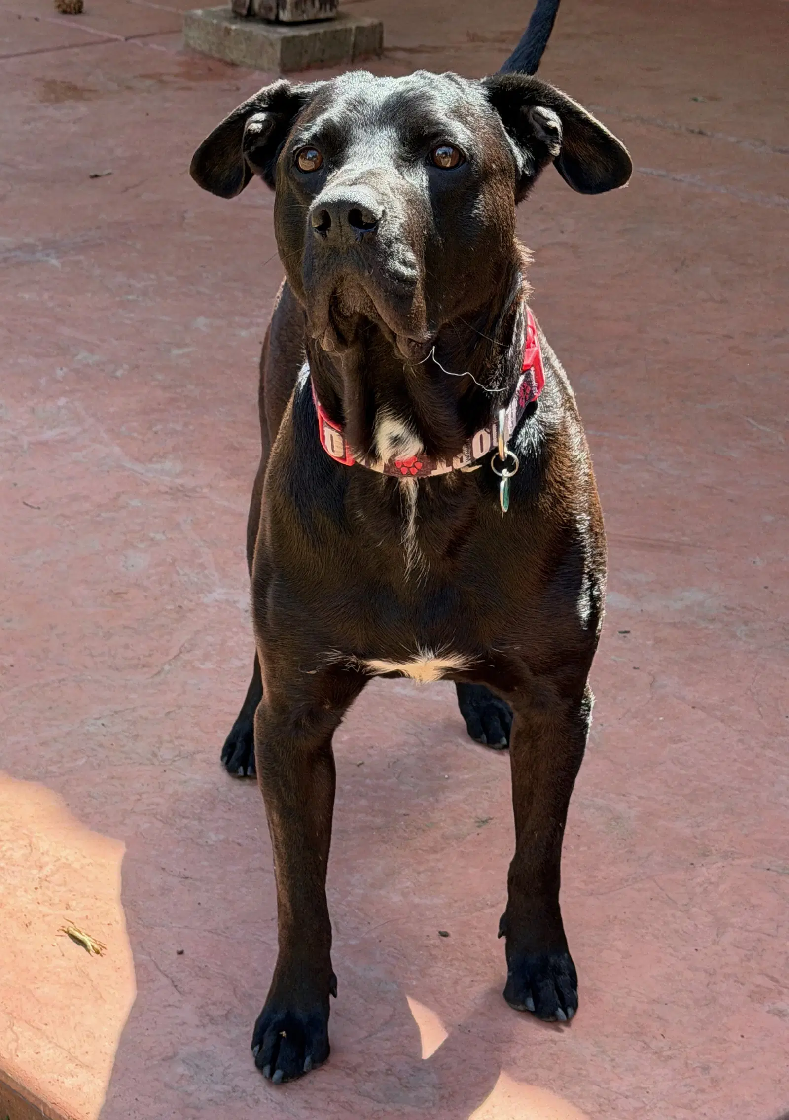 Max image 2