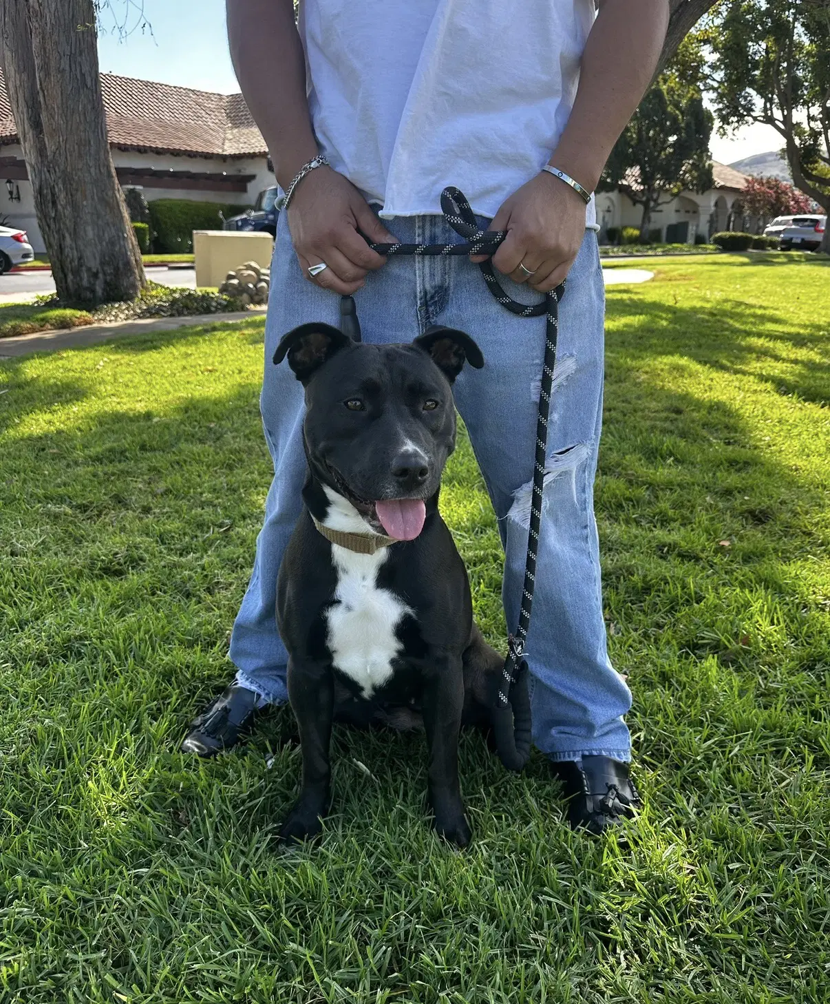 Sadie image 4