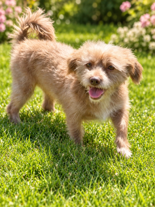 Photo 2 of Marley
