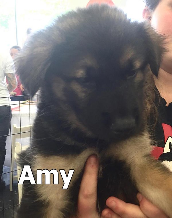 Image of Amy