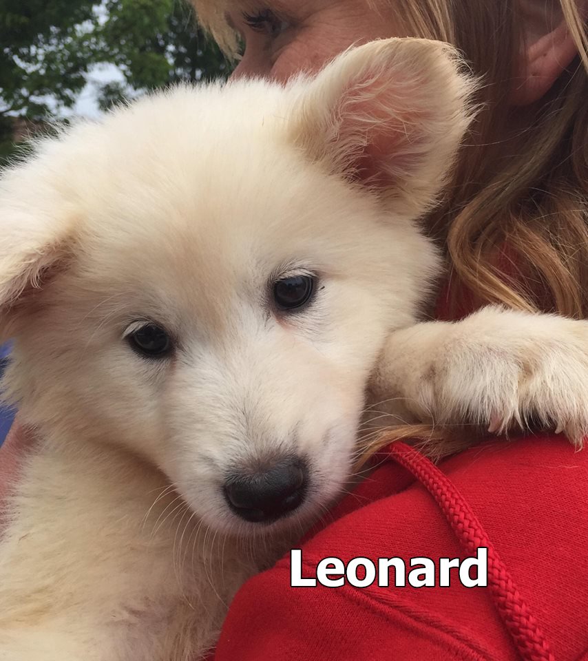 Large image of Leonard