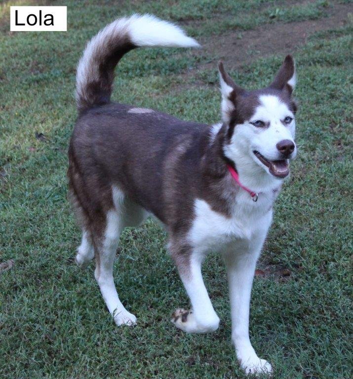 Large image of Lola