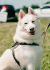 Maverick - Photo 2