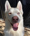 Maverick - Photo 6