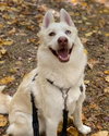Maverick - Photo 5
