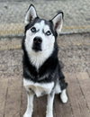 Eddie - Photo 1