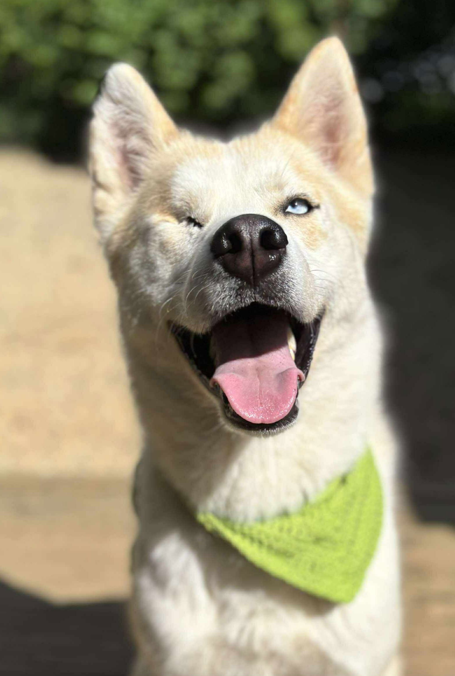 Large image of Hero