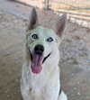 Fenrir - Photo 1