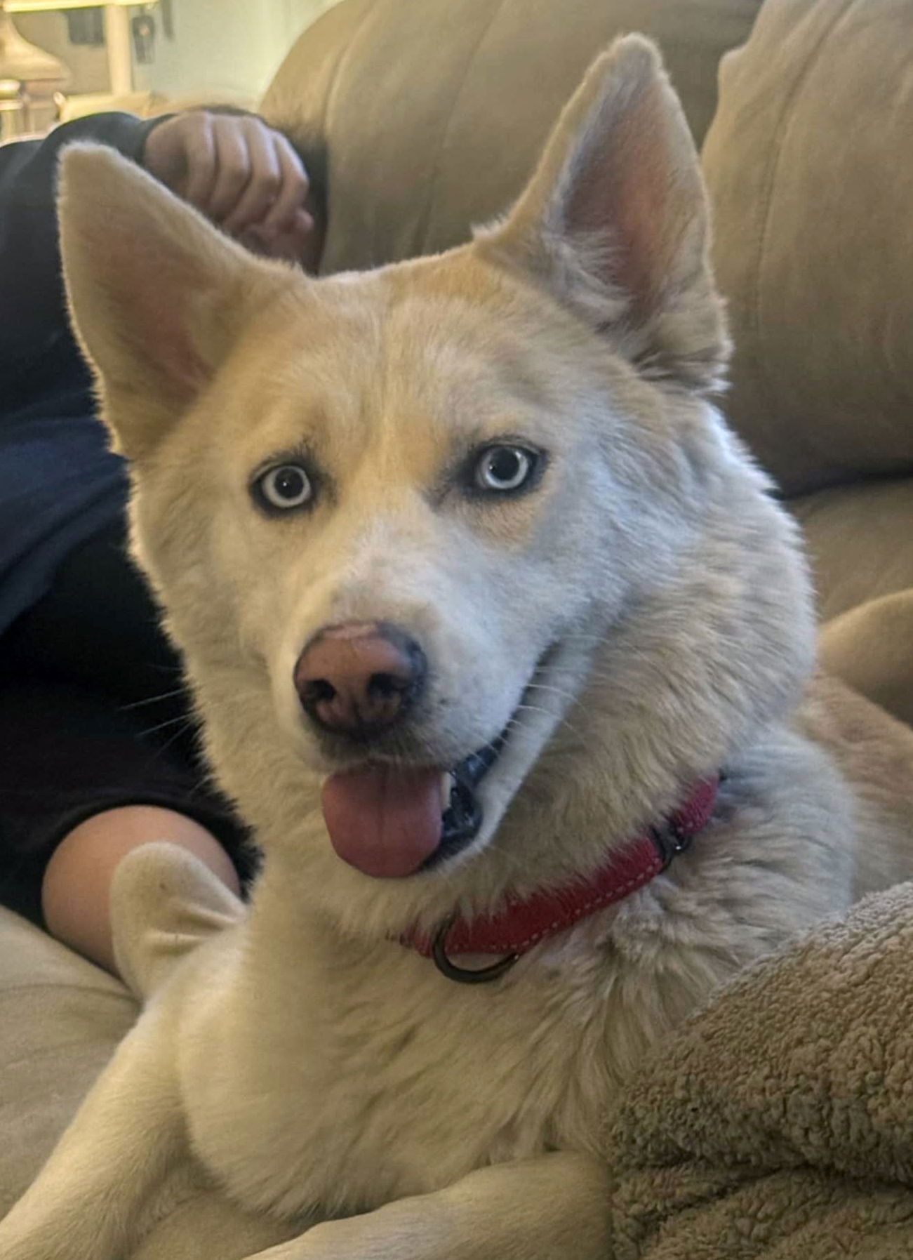 Image of Luna