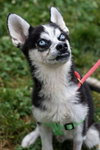 Bert - Photo 1