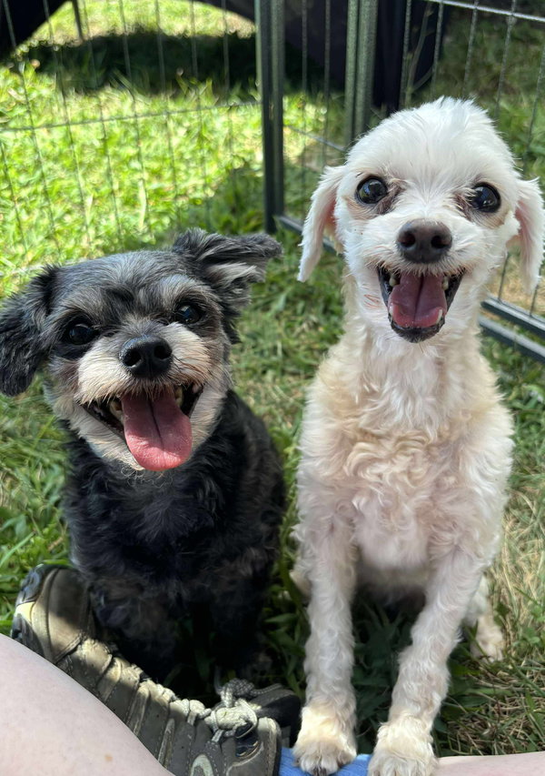 Bailey & Charlie