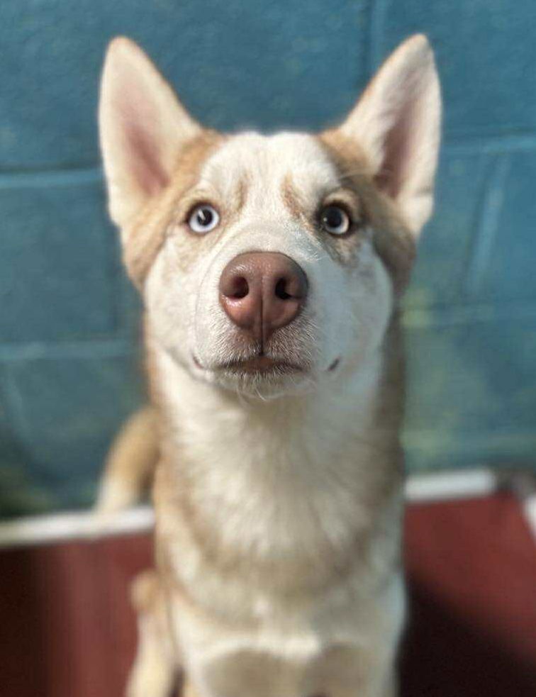 Image of Mike