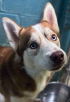 Jack - Photo 2